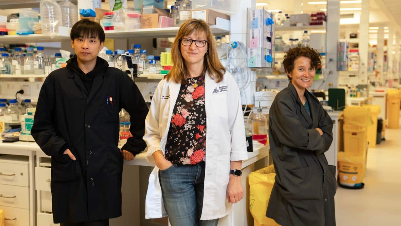 Dr Vicki Athanasopoulos