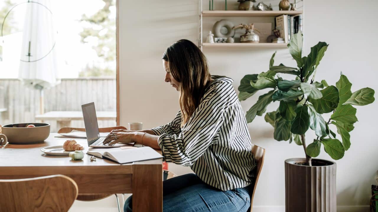 A woman with long dark hair, wearing a striped shirt and jeans, is seated at a wooden dining table working on a laptop. The bright, Scandinavian-style space includes a large window, a potted fiddle-leaf fig plant, and a wall shelf with various decorative items.