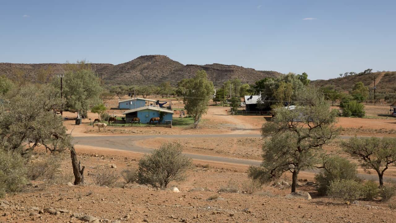 Santa Teresa Aboriginal Community, 80 kilometres east of Alice Springs in the Northern Territory, Australia, Wednesday, Nov. 27, 2013. (AAP Image/Grenville Turner) NO ARCHIVING