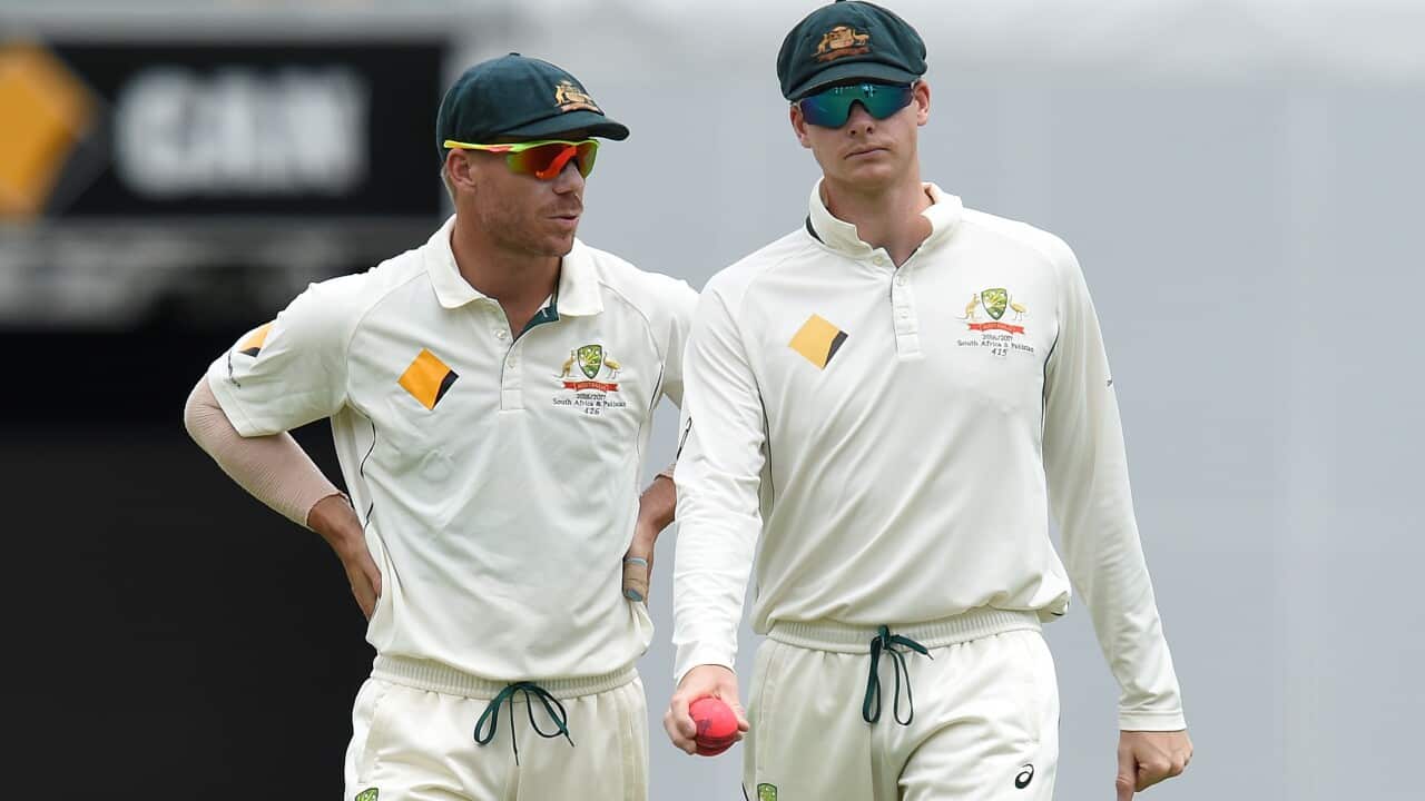 David Warner and Steve Smith 