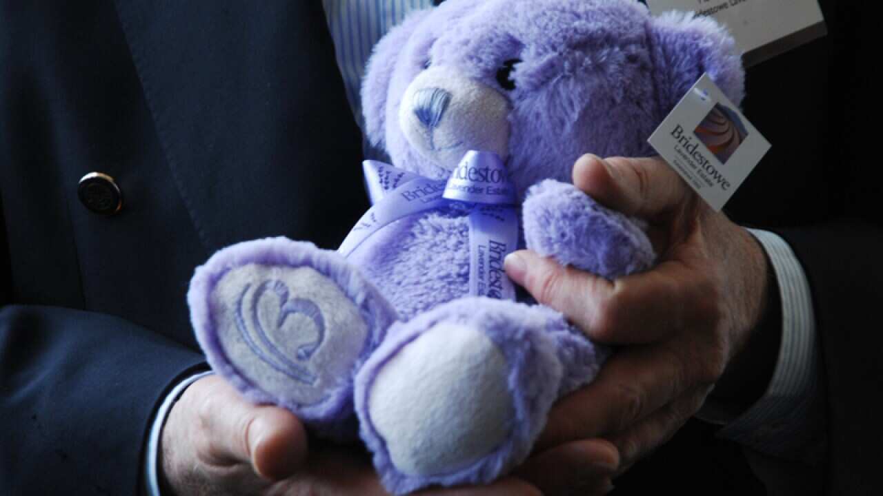 The lavender-filled Bobbie the bear