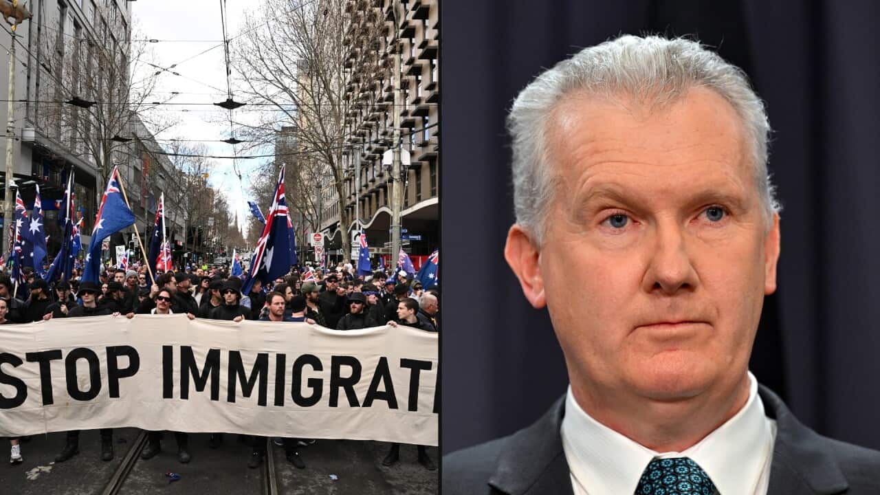 A combination picture of people protesting holding a sign "Stop immigration" on the left and a man in a suit on the right.