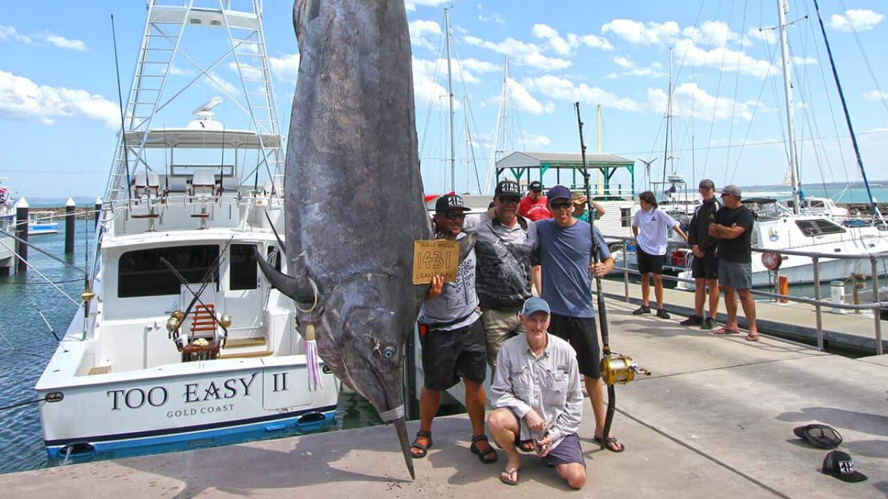 Rob Crane和他的团队以及所捕获的巨型马林鱼