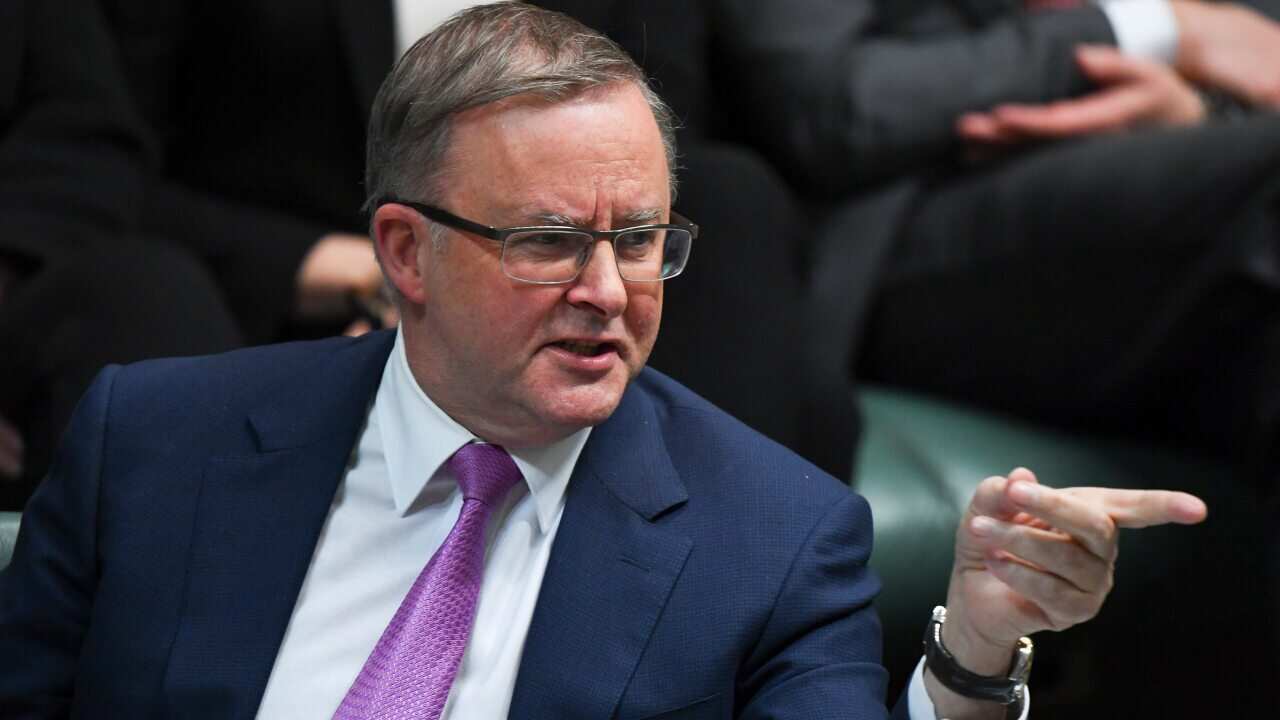 Australian Opposition Leader Anthony Albanese reacts during House of Representatives Question Time at Parliament House in Canberra, Monday, 29 July, 2019. (AAP Image/Lukas Coch) NO ARCHIVING