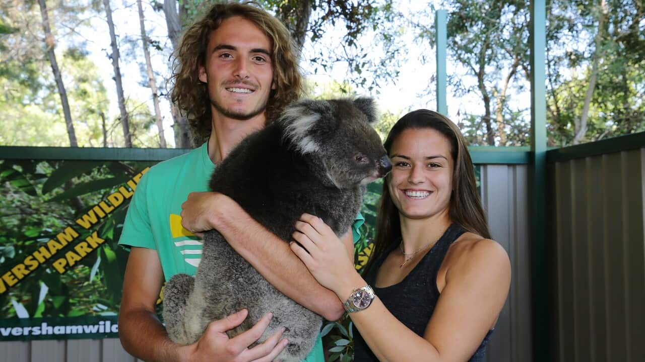 2019 Hopman Cup - Day 2