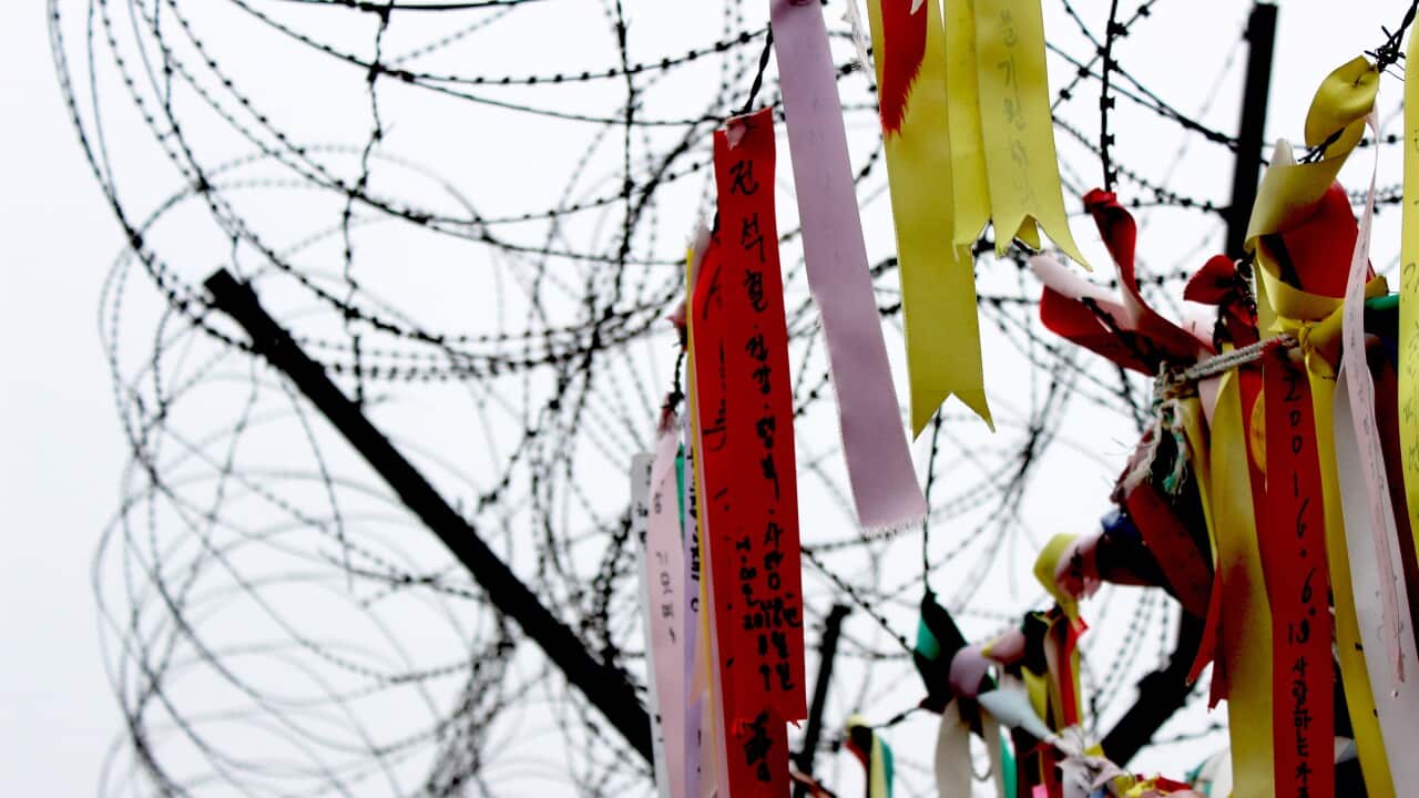 Korean DMZ