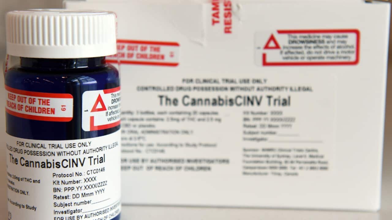 Medicinal cannabis used as part of a trial in Sydney