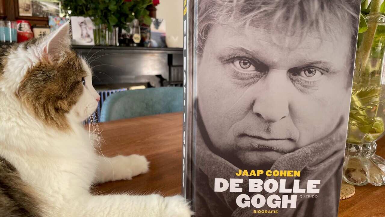 De Bolle Gogh