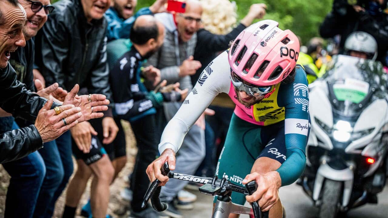 Image for read more article 'READ MORE'