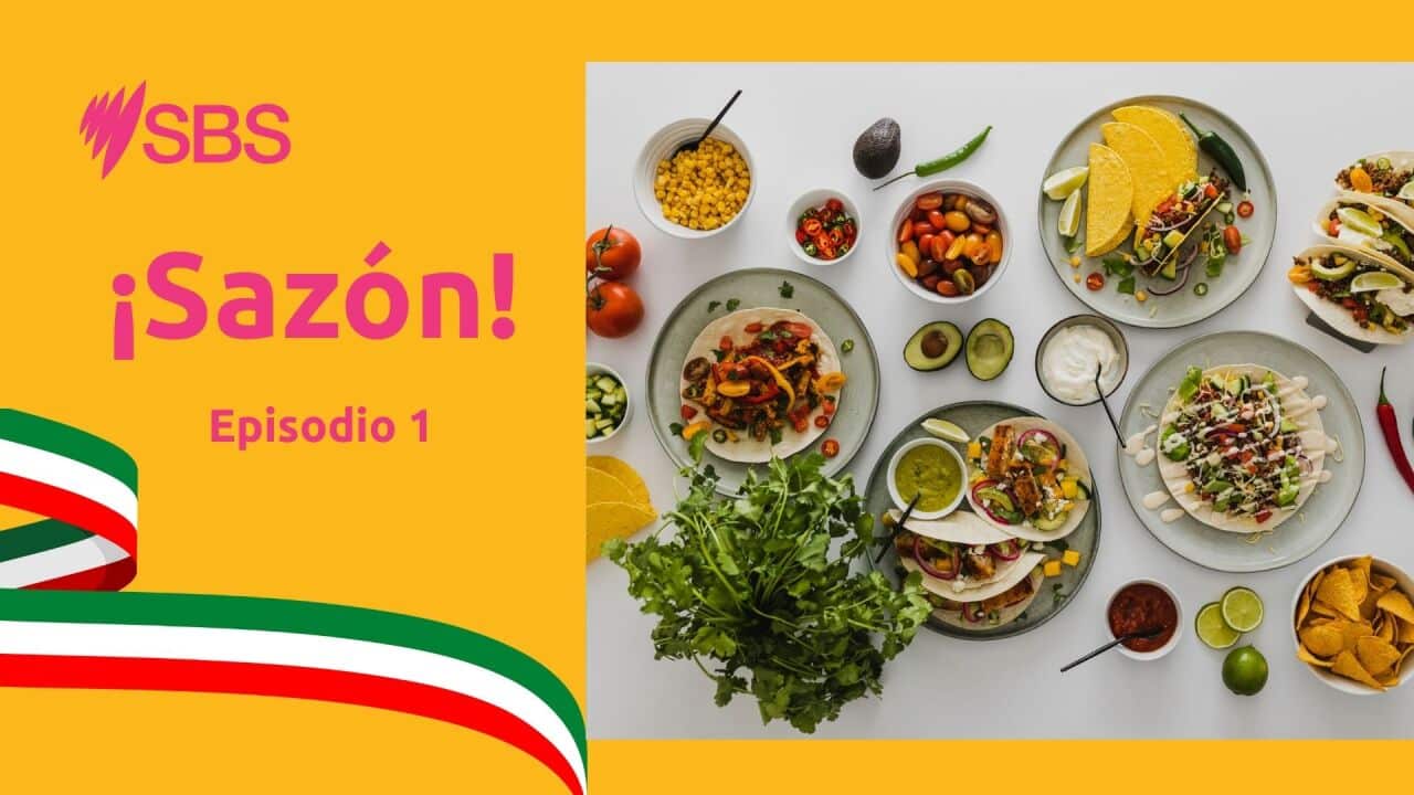 Sazón WEB COVER (2).jpg