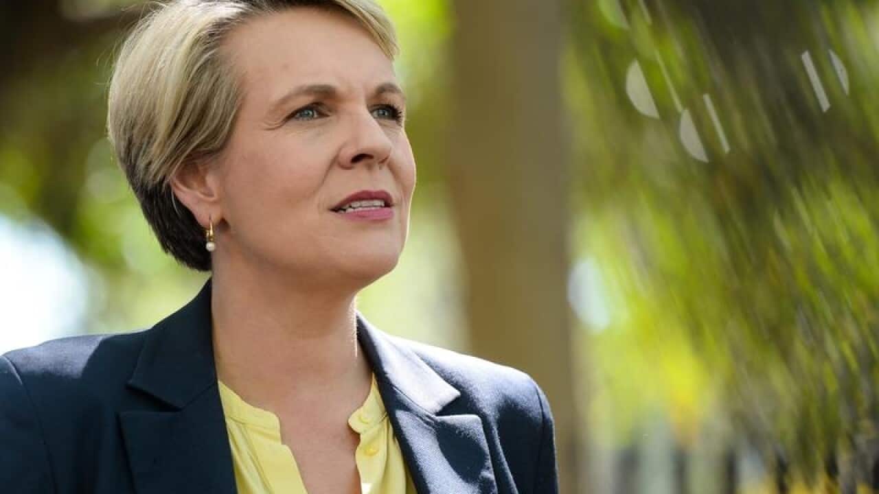 Deputy opposition leader Tanya Plibersek