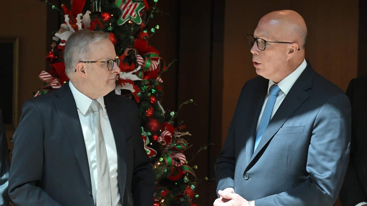 Image for read more article 'READ MORE'