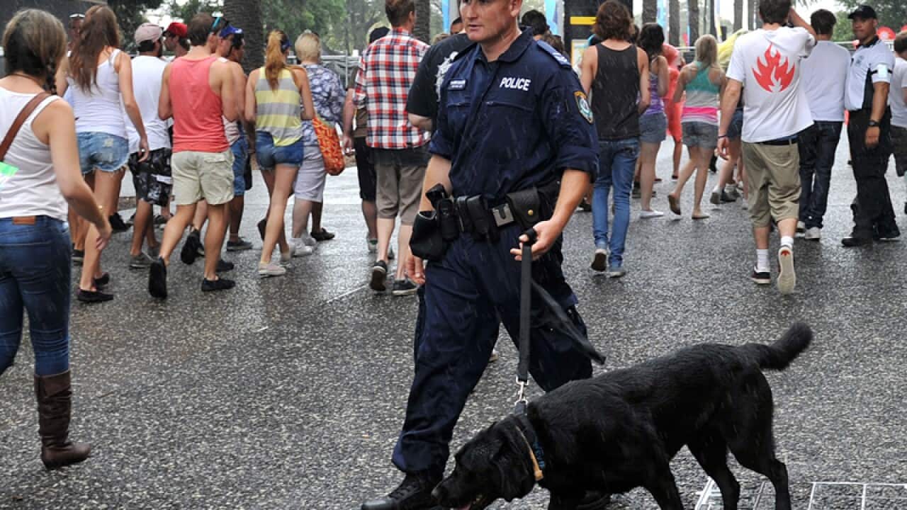 A police officer guides a sniffer dog