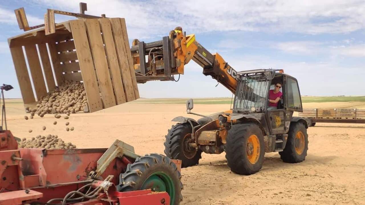 Image for read more article ''