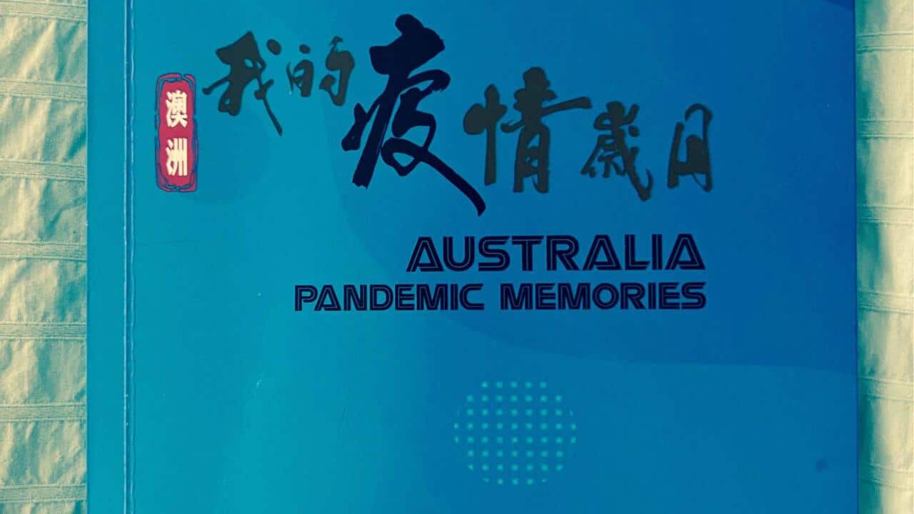 Image for read more article 'READ MORE'