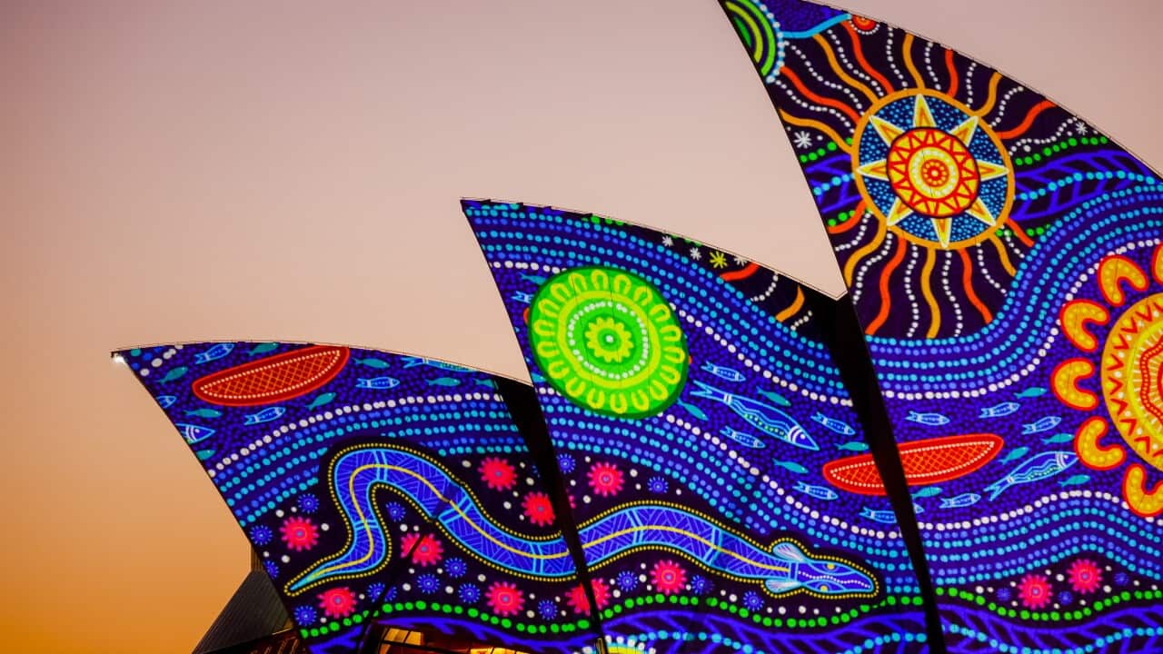 ADCNSW-NSW Govt_SaltyDingo_28832.jpg