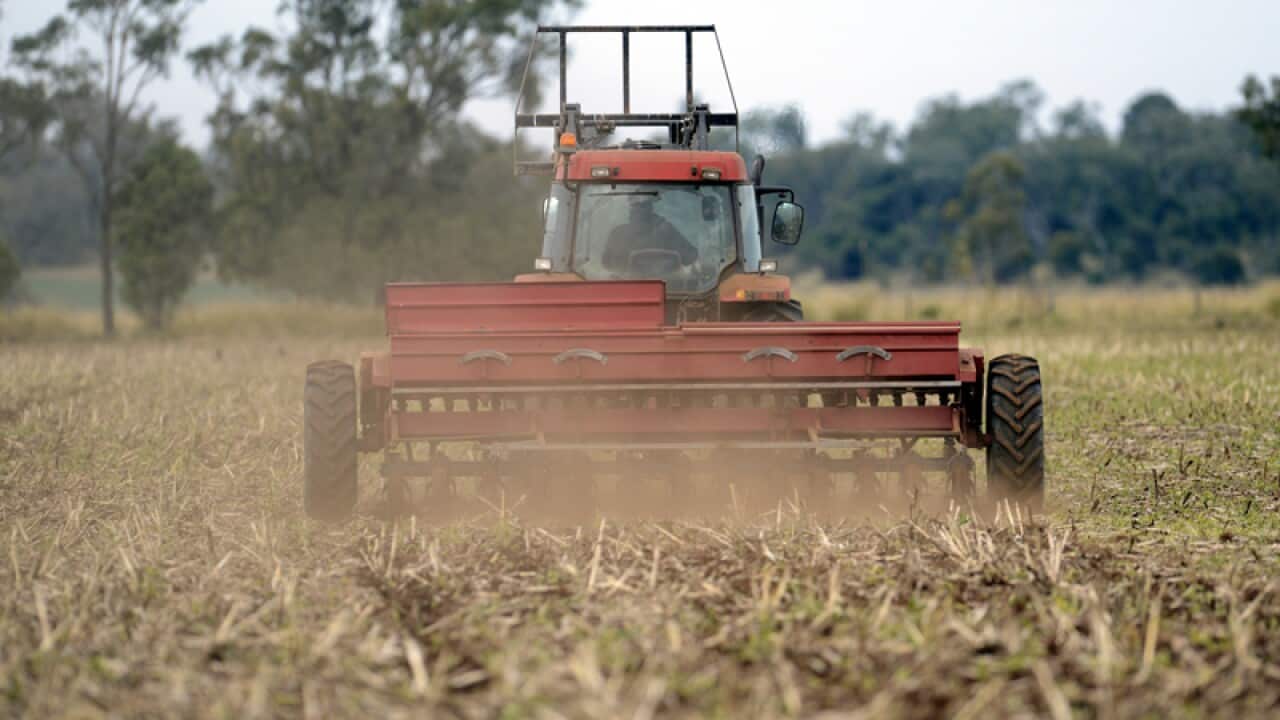 Dairy farmer Jamie Watts sows barley
