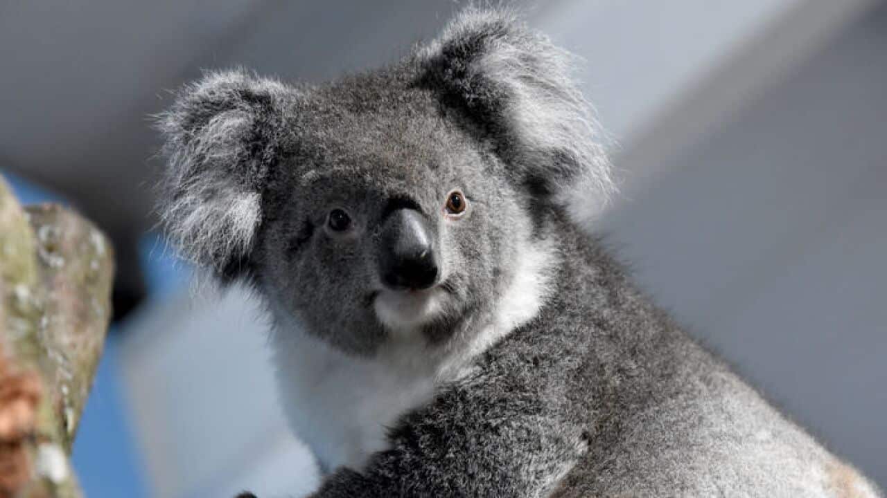 Image for read more article 'Xem thêm'