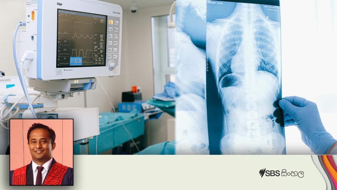 sinhala_291224_monday_interview_pneumococcal disease_LONG.mp3