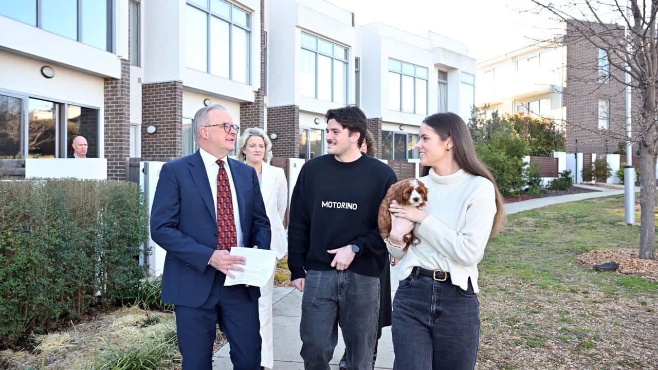 Image for read more article ''