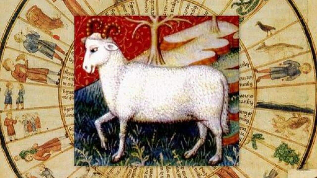 aries 