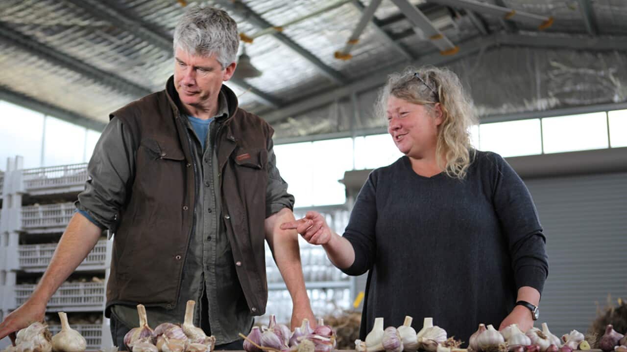 Matthew Evans - Gourmet Farmer series 4