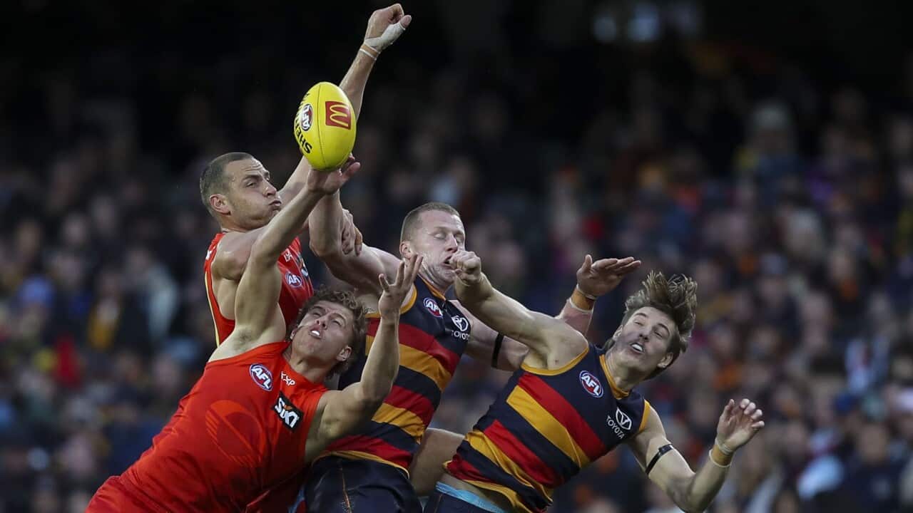AFL CROWS SUNS