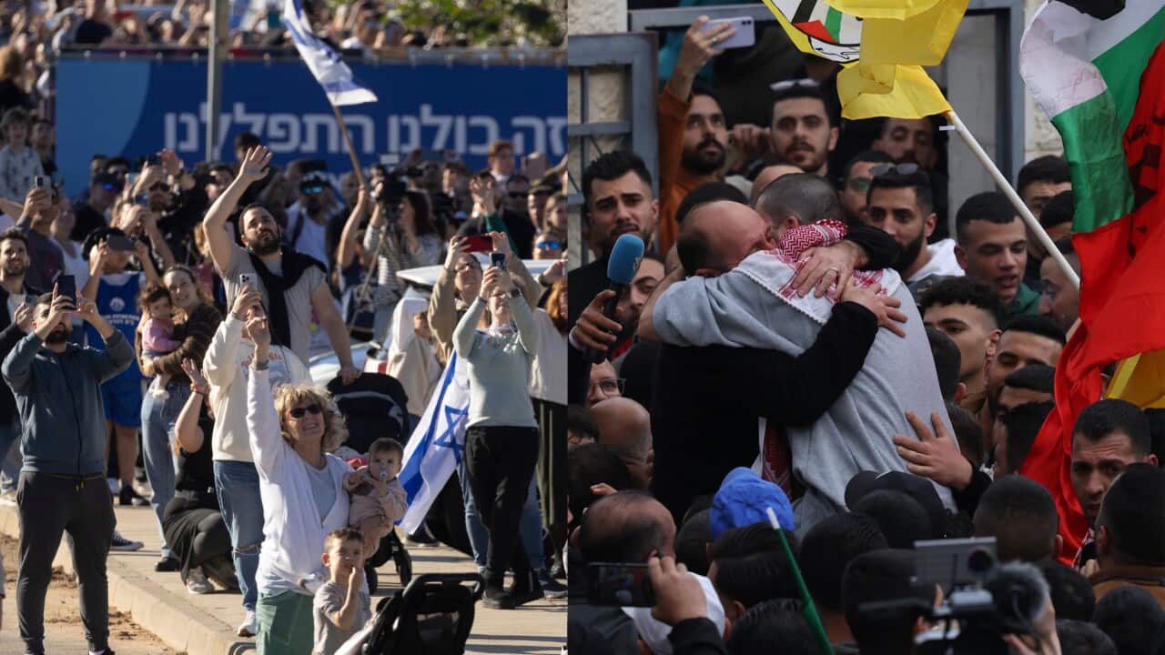 تفاصيل المرحلة الثانية من عملية تبادل الأسرى بين حماس وإسرائيل وفق اتفاق  وقف إطلاق النار | SBS Arabic