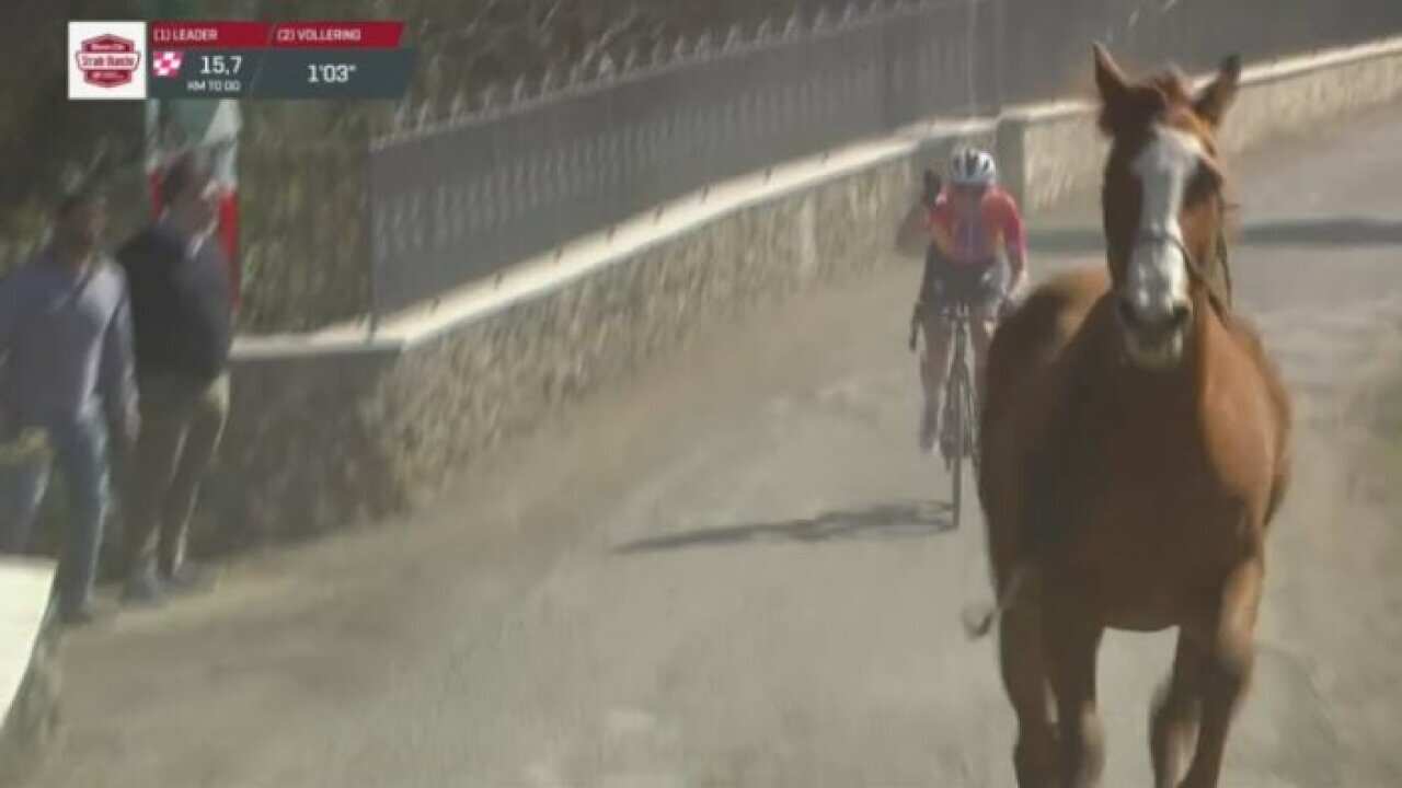 Horse invades bike race | SBS Sport