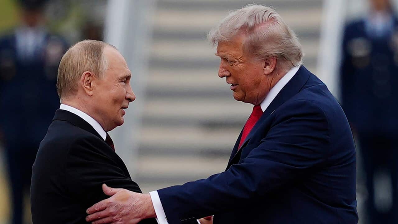 Vladimir Putin,Donald Trump