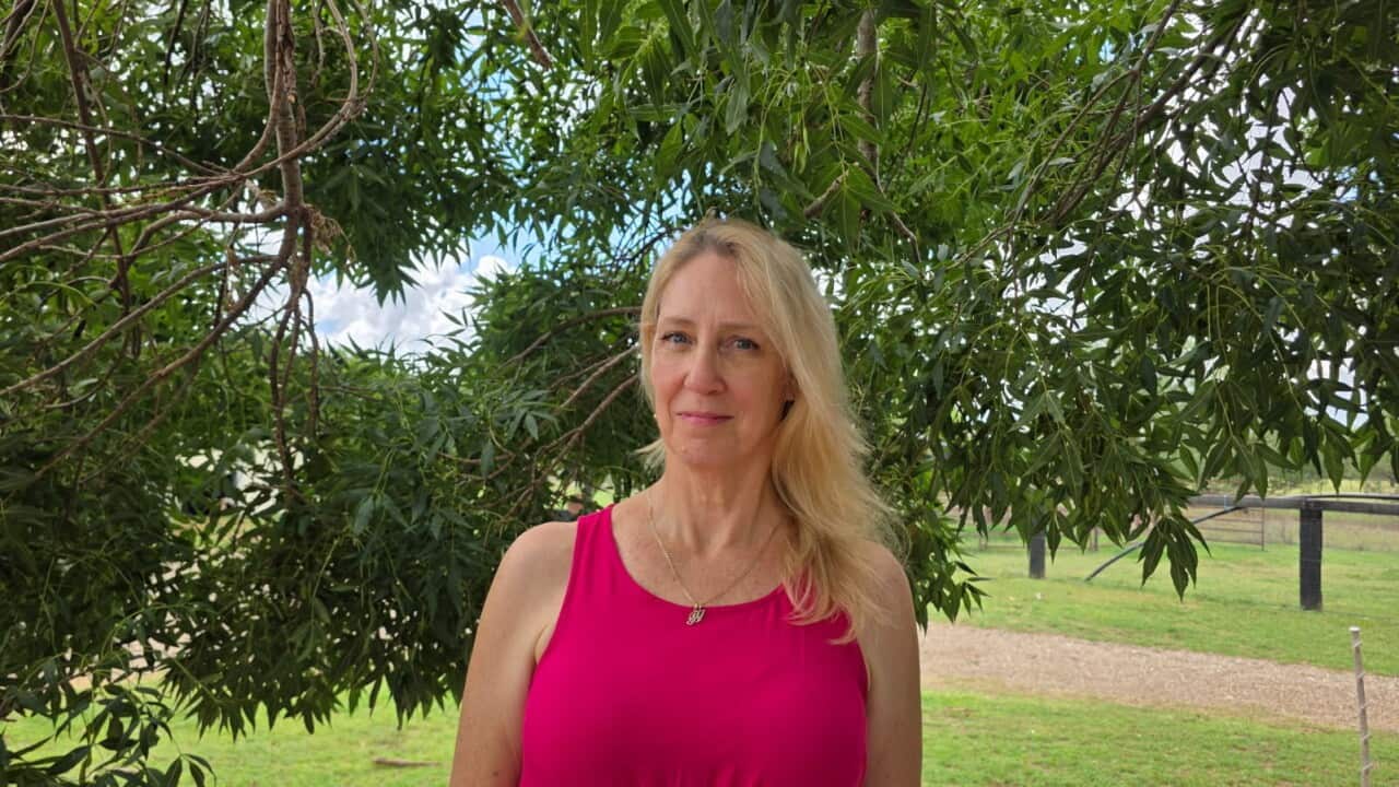 A mid shot of a blonde middle-aged woman in a pink dress standing in front of a leafy paddock.