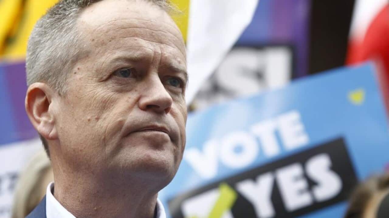 Opposition Leader Bill Shorten