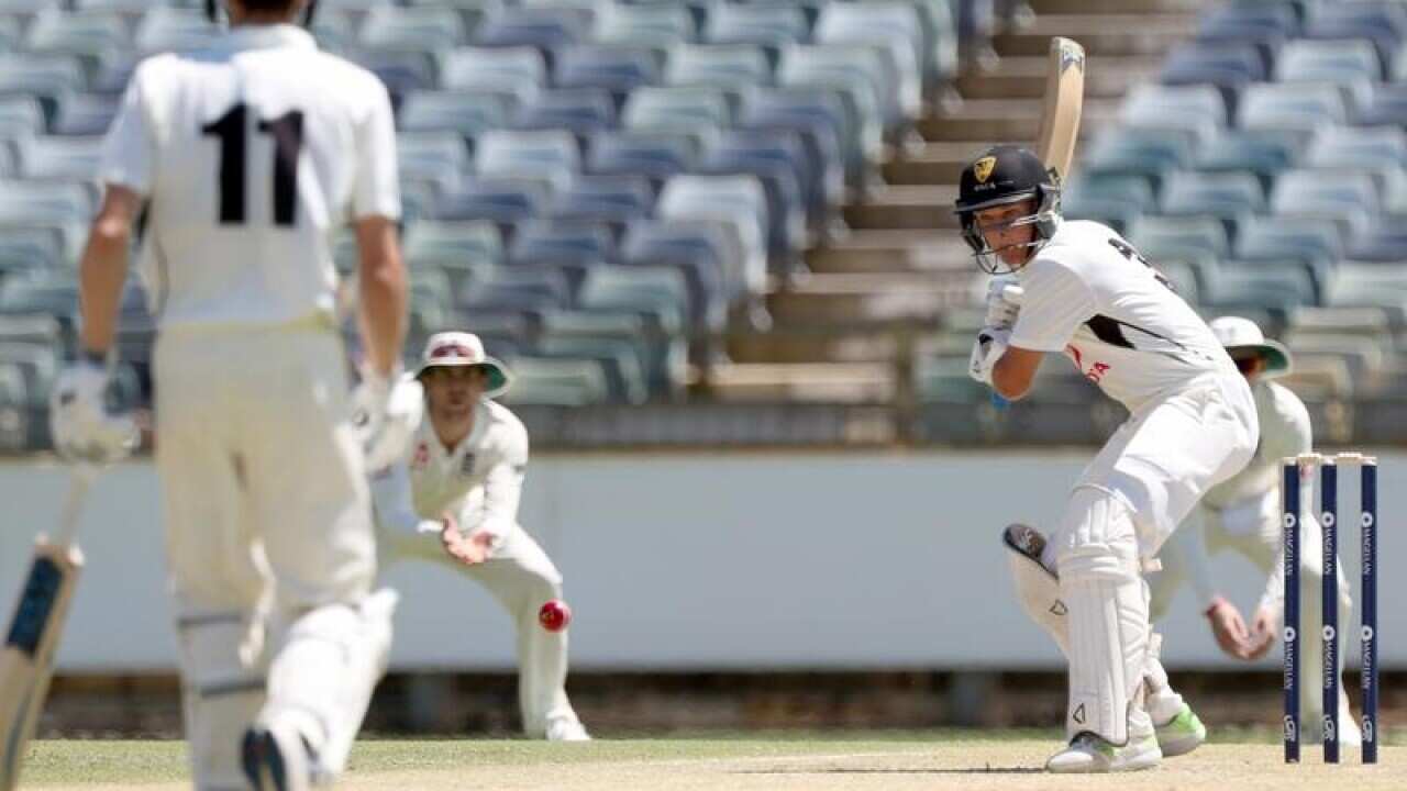 Josh Philippe of Western Australia batting