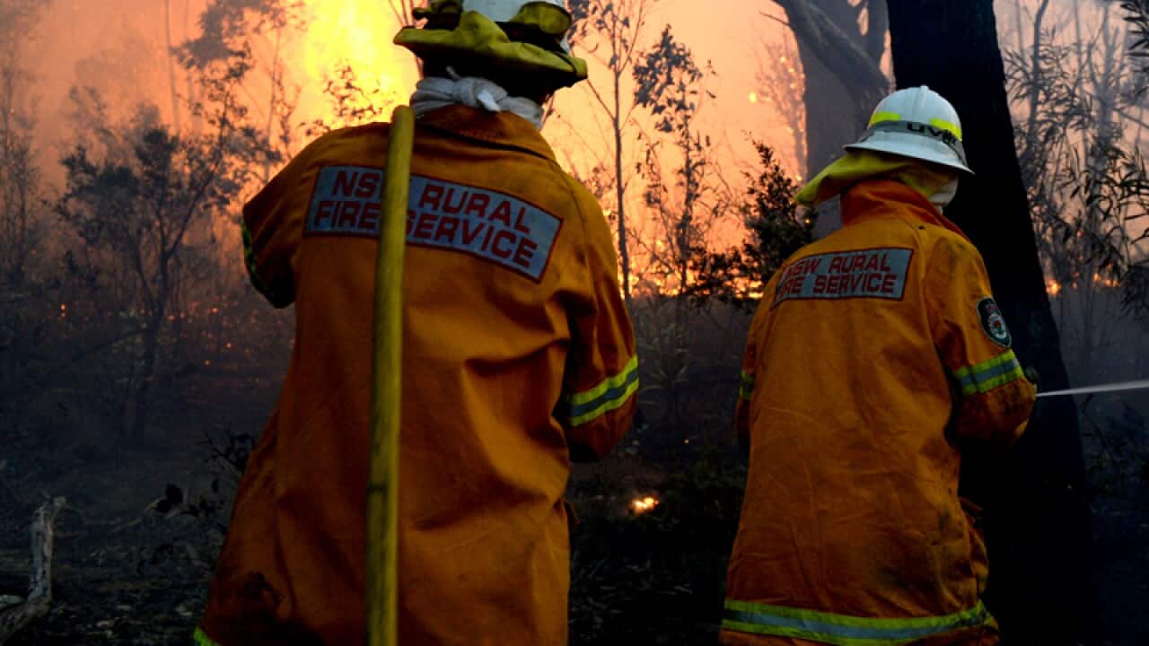 Firefighters battle a blaze in the Blue Mountains