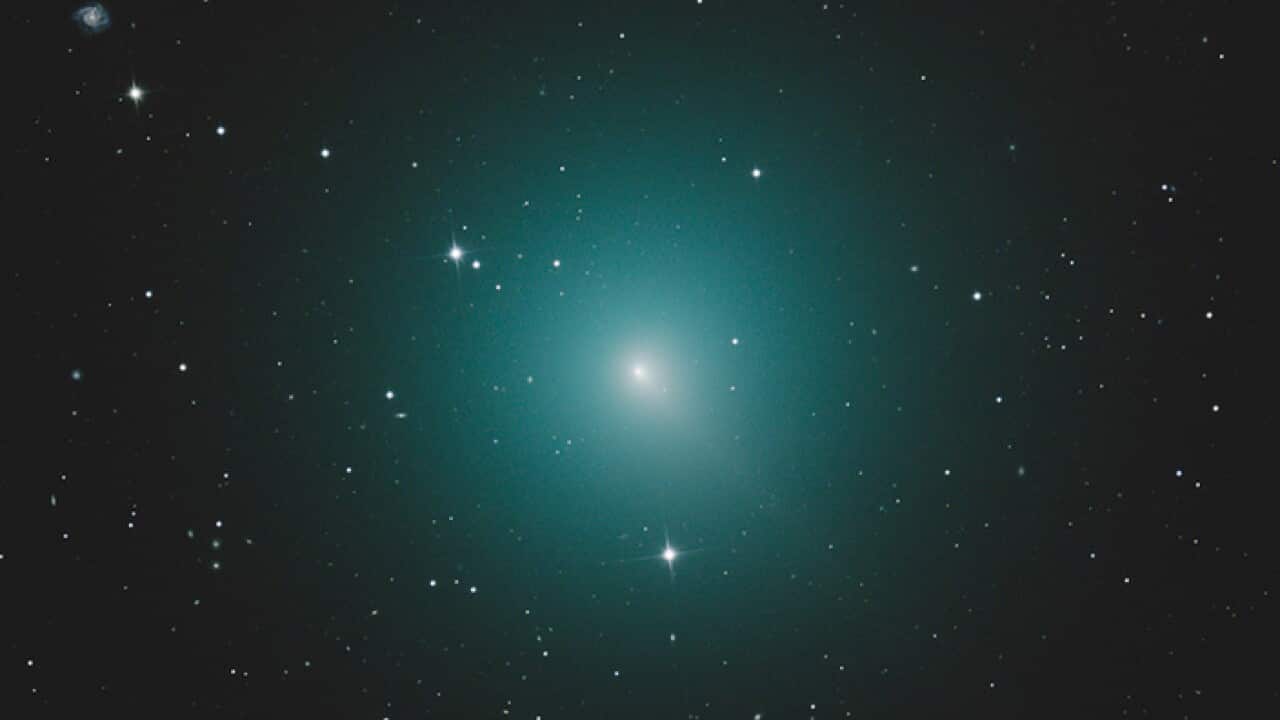 The Christmas Comet, named for the time of year it appears
