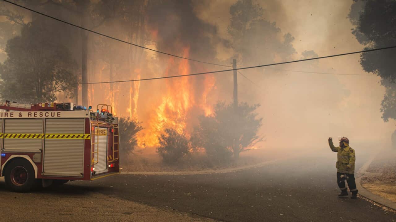 Supplied image of firefighters fighting a bushfire in the Perth Hills