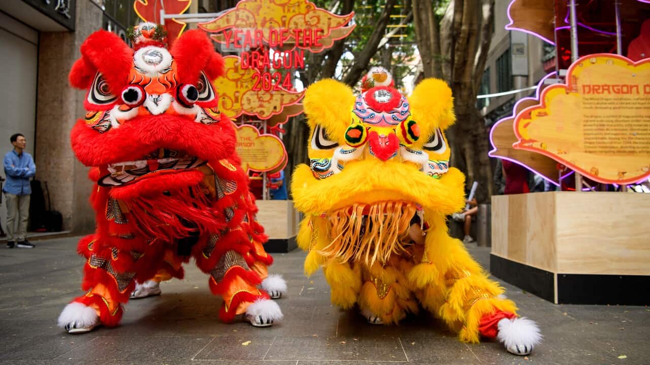 Image for read more article 'READ MORE'