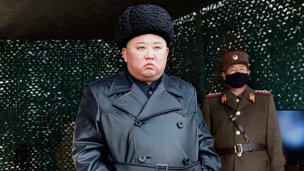 North Korea has not reported any cases of COVID-19.