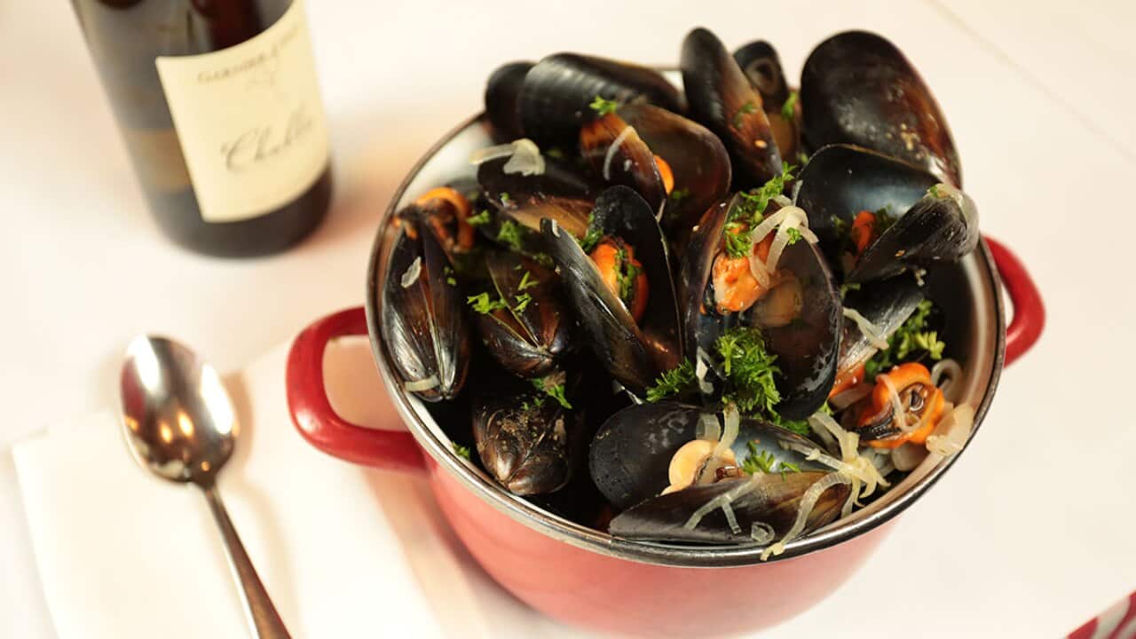 Should you bin cooked mussels that don't open? SBS Food