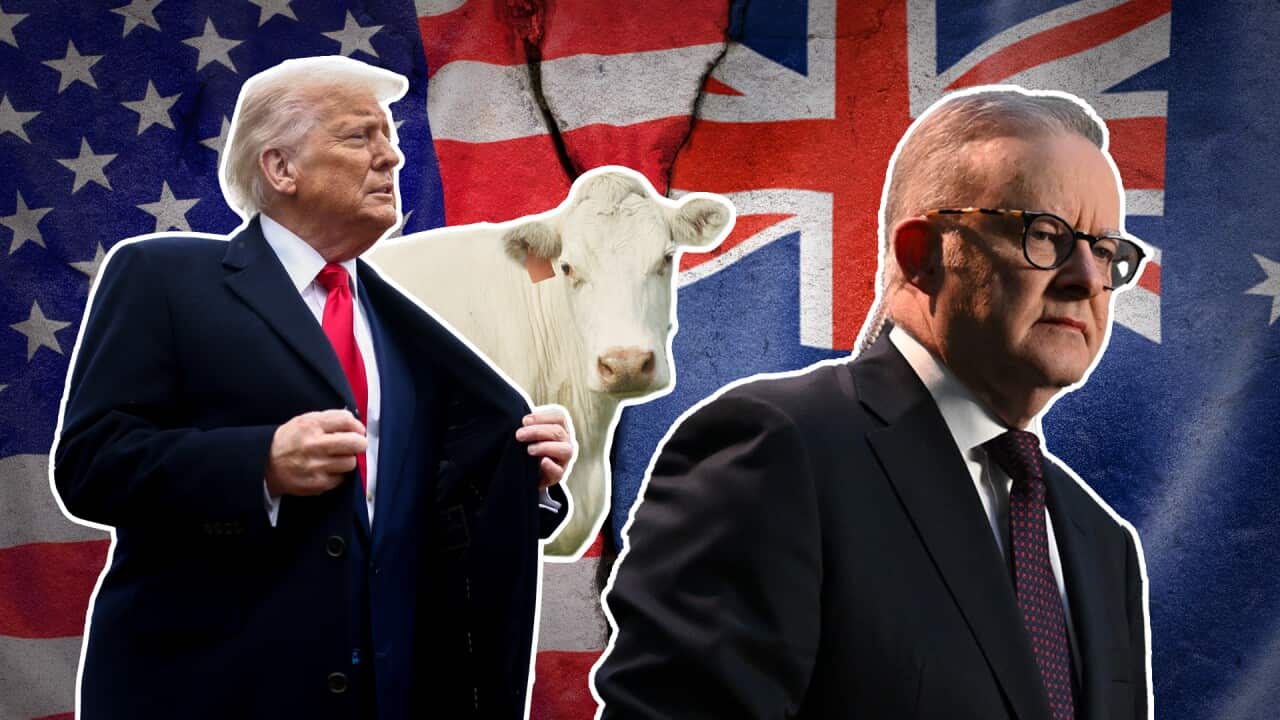 The big biosecurity question at the centre of Australia’s US beef move