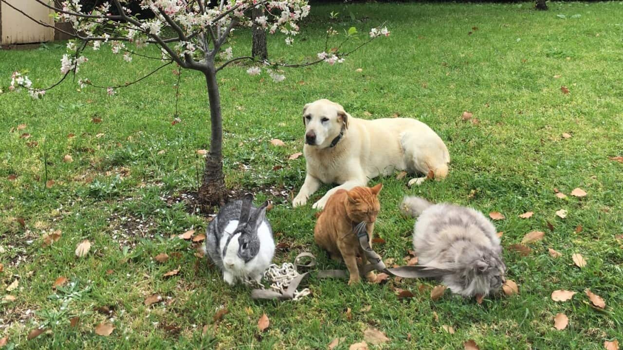 Image for read more article ''