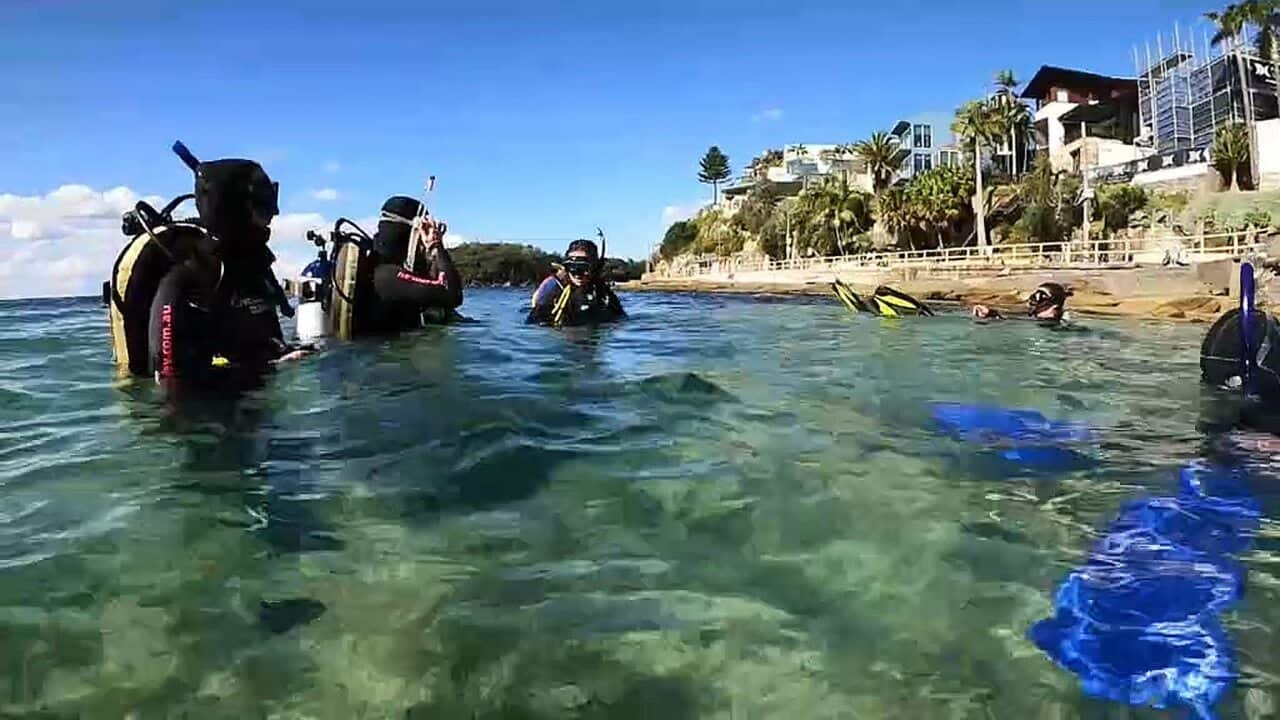 Manly Dive Centre is one business that's been badly affected by the pandemic