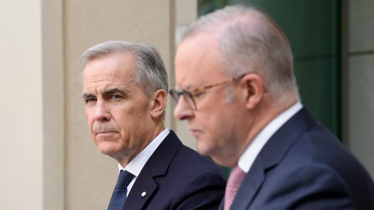 Anthony Albanese,Mark Carney
