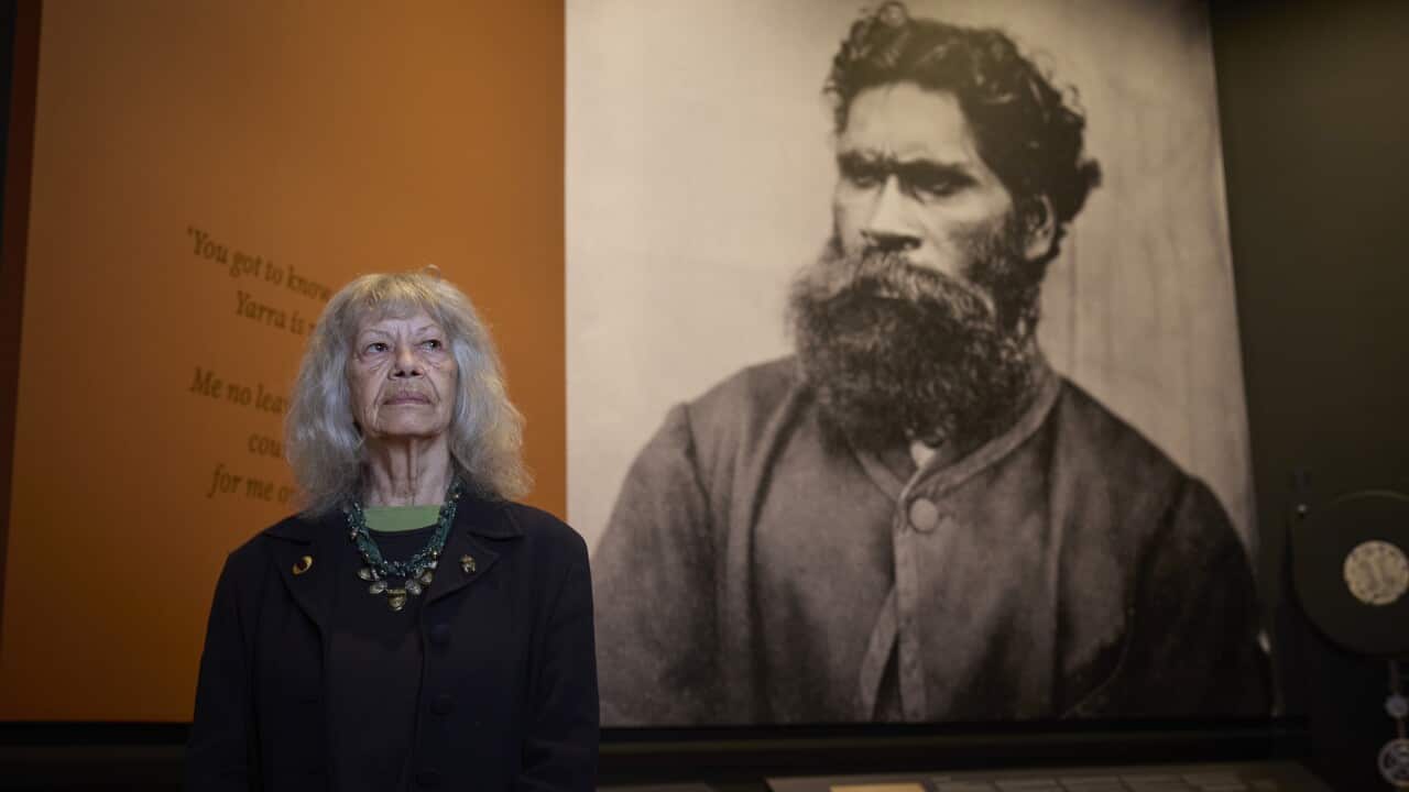STATE LIBRARY VICTORIA INDIGENOUS GALLERY OPENING