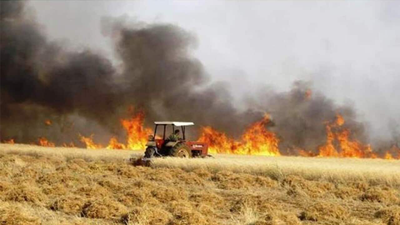 Corps are lit on fire in Iraq