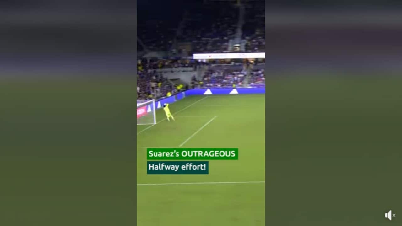 suarez.jpg