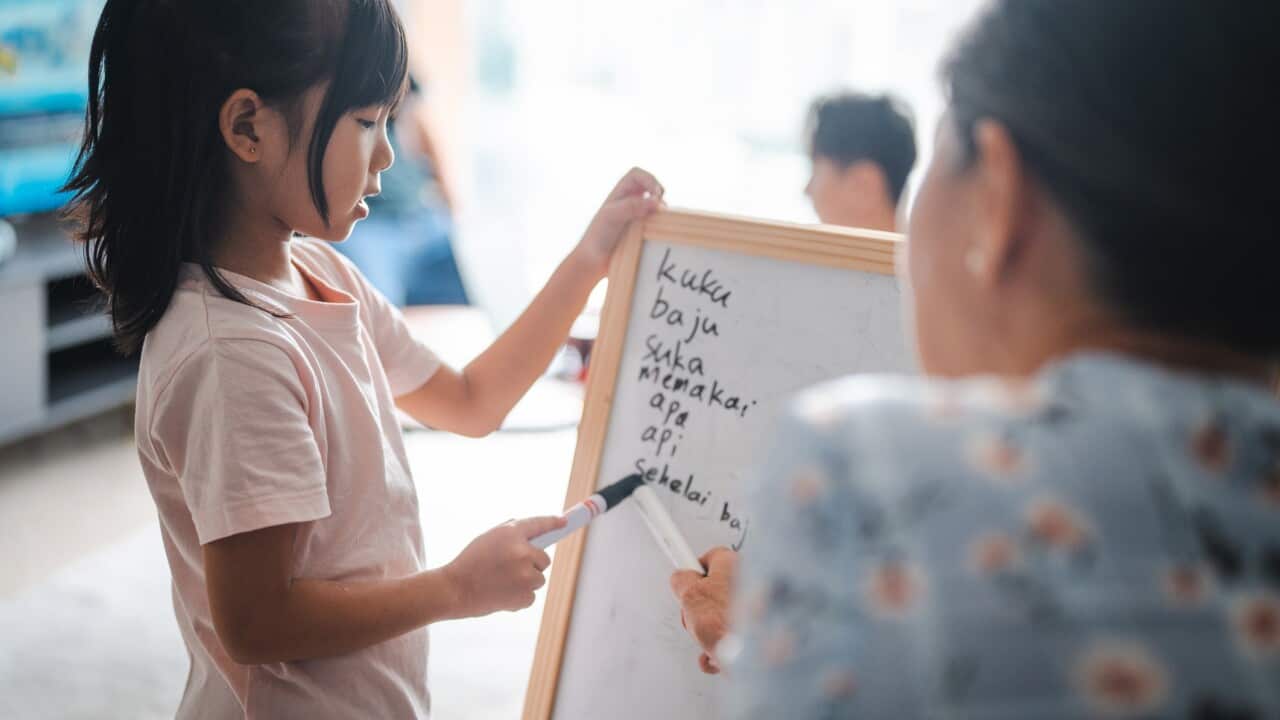indonesian language