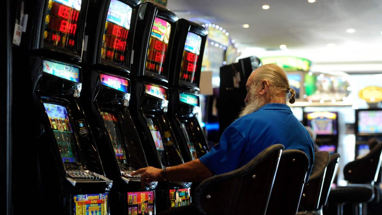 A man plays poker machines at the Knox Club (AAP)