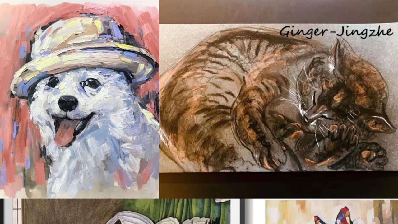 Image for read more article ''