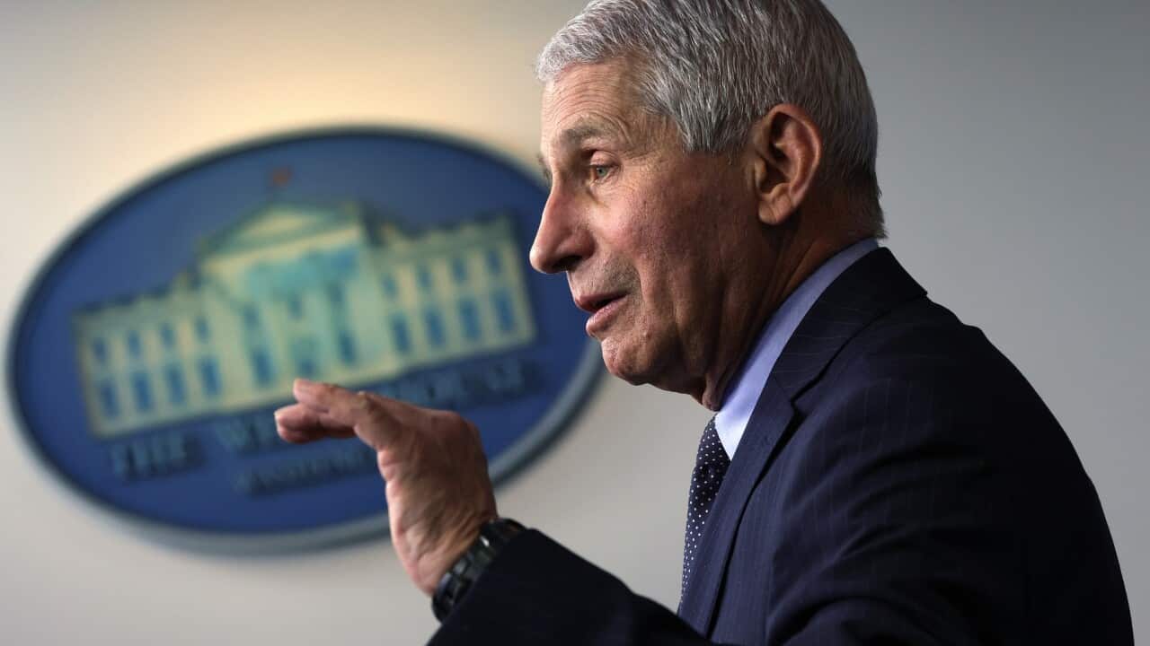 Director of the National Institute of Allergy and Infectious Diseases Dr Anthony Fauci